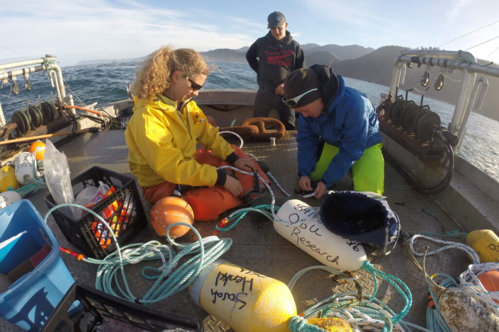 Researchers work with lines and floaters